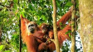 Cesty kolem světa (3/12)