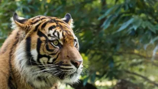 Cesty kolem světa (3/12)