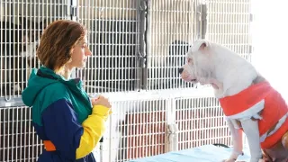 Blanca (1)