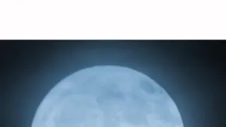 Život v nočním lese