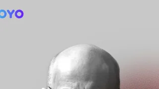 Případ Roubal (2)