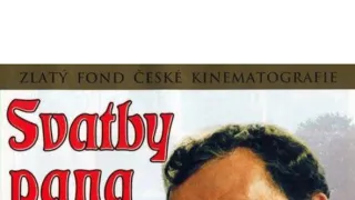 Svatby pana Voka