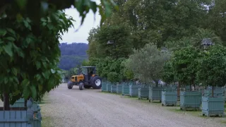 100 dní ve Versailles (1/6)