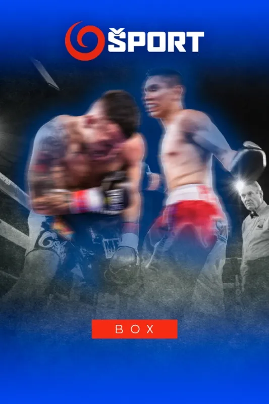 Box, 2025 - fotogaléria