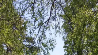 Na cestě po Arles