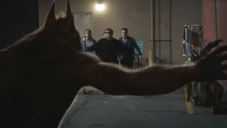 Husí kůže