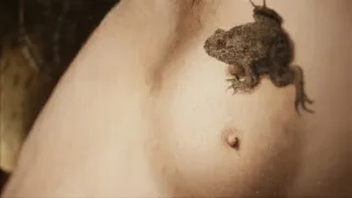 Gotika: Na pomezí hororu, víry a geniality