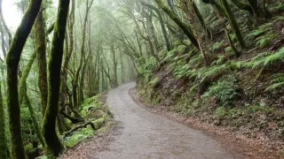 Na cestě po kanárské La Gomeře a El Hierru