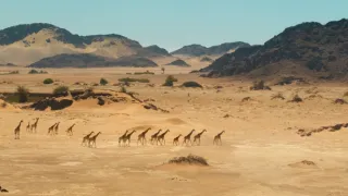 Zázračná planeta: Savci (5/6)