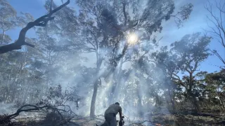 Zázračná planeta: Savci (5/6)