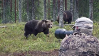 Krásy severní Evropy (5)