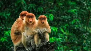 Cesty kolem světa (4/12)