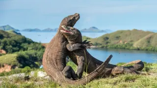 Cesty kolem světa (4/12)