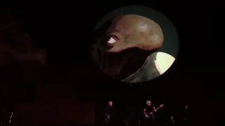 Roger Waters - The Wall