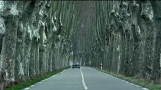 Roger Waters - The Wall