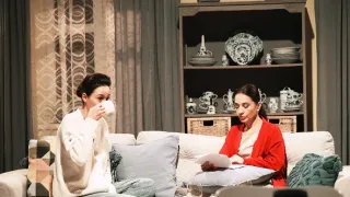 ZOO Nové začátky (184)