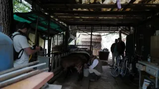 Manu a Matěj na cestě po střední Itálii (5/10)