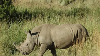 Na cestě po jihoafrické Mpumalanze