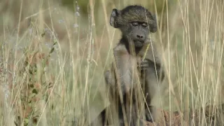 Na cestě po jihoafrické Mpumalanze