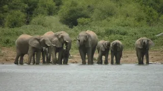 Na cestě po jihoafrické Mpumalanze