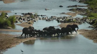 Na cestě po jihoafrické Mpumalanze