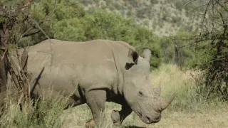 Na cestě po jihoafrické Mpumalanze