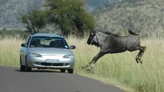 Na cestě po jihoafrické Mpumalanze