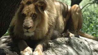 Na cestě po jihoafrické Mpumalanze