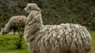 Na cestě po středním Peru