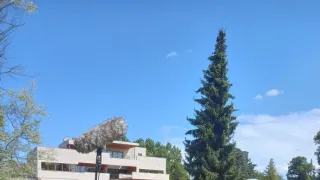 MODERNA, AVANTGARDA: Příběh umění 1. poloviny 20. století (7/7)