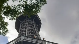 MODERNA, AVANTGARDA: Příběh umění 1. poloviny 20. století (7/7)