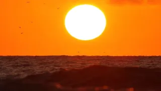 Příroda Nizozemska