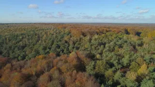 Příroda Nizozemska