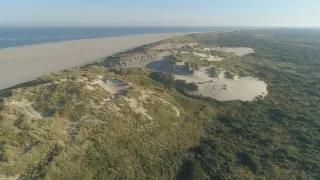 Příroda Nizozemska