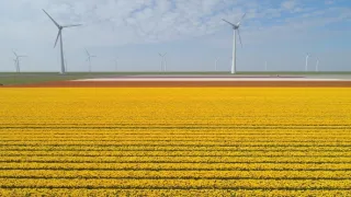 Příroda Nizozemska