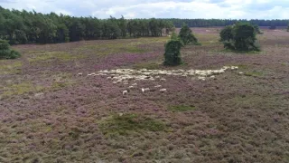 Příroda Nizozemska