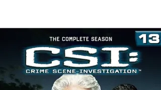 Kriminálka Las Vegas XIII (16)