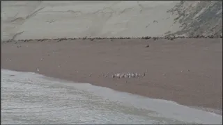 Neuvěřitelná Magalhaesova plavba