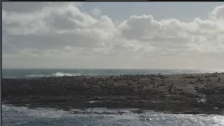 Neuvěřitelná Magalhaesova plavba