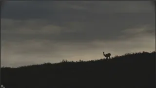 Neuvěřitelná Magalhaesova plavba