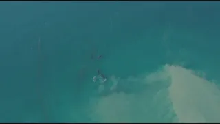 Neuvěřitelná Magalhaesova plavba