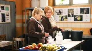 ZOO Nové začátky (179)