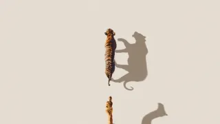 Zázračná planeta: Savci (6/6)