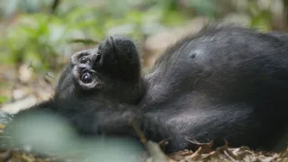 Zázračná planeta: Savci (6/6)