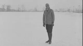 Henry Ford: Architekt amerického století