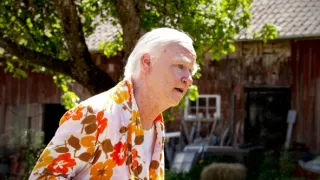 Stoletý stařík, který vylezl z okna a zmizel