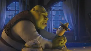 Kdopak by se Shreka bál