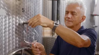 Milovníci vína (11/12)