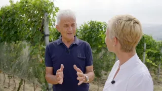 Milovníci vína (11/12)