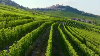 Milovníci vína (11/12)